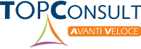 Top Consult - Main Logo